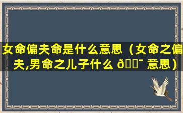 女命偏夫命是什么意思（女命之偏夫,男命之儿子什么 🐯 意思）